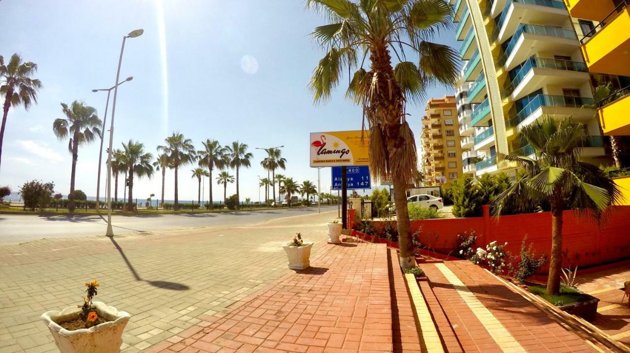 Flamingo Beach & Suite Mahmutlar Ngoại thất bức ảnh