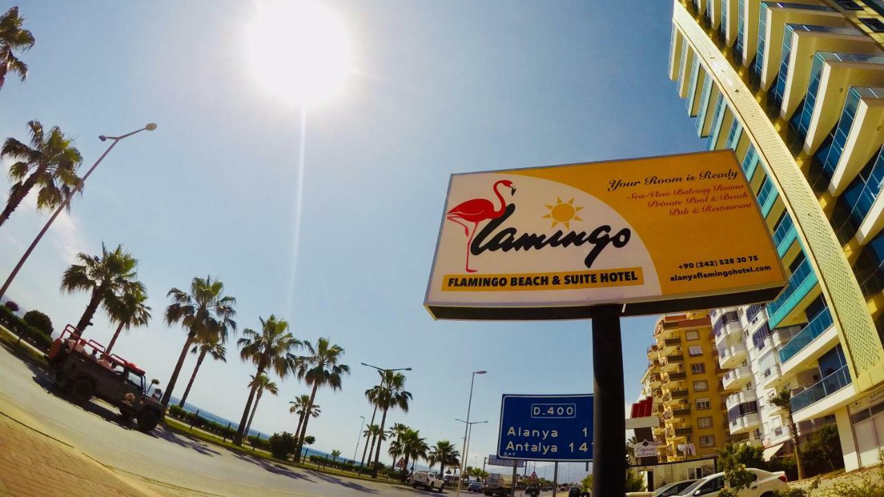 Flamingo Beach & Suite Mahmutlar Ngoại thất bức ảnh